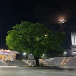 Netflix is Buying Warner Bros?! Hollywood’s Biggest Shake-Up and What It Means for Your Watchlist