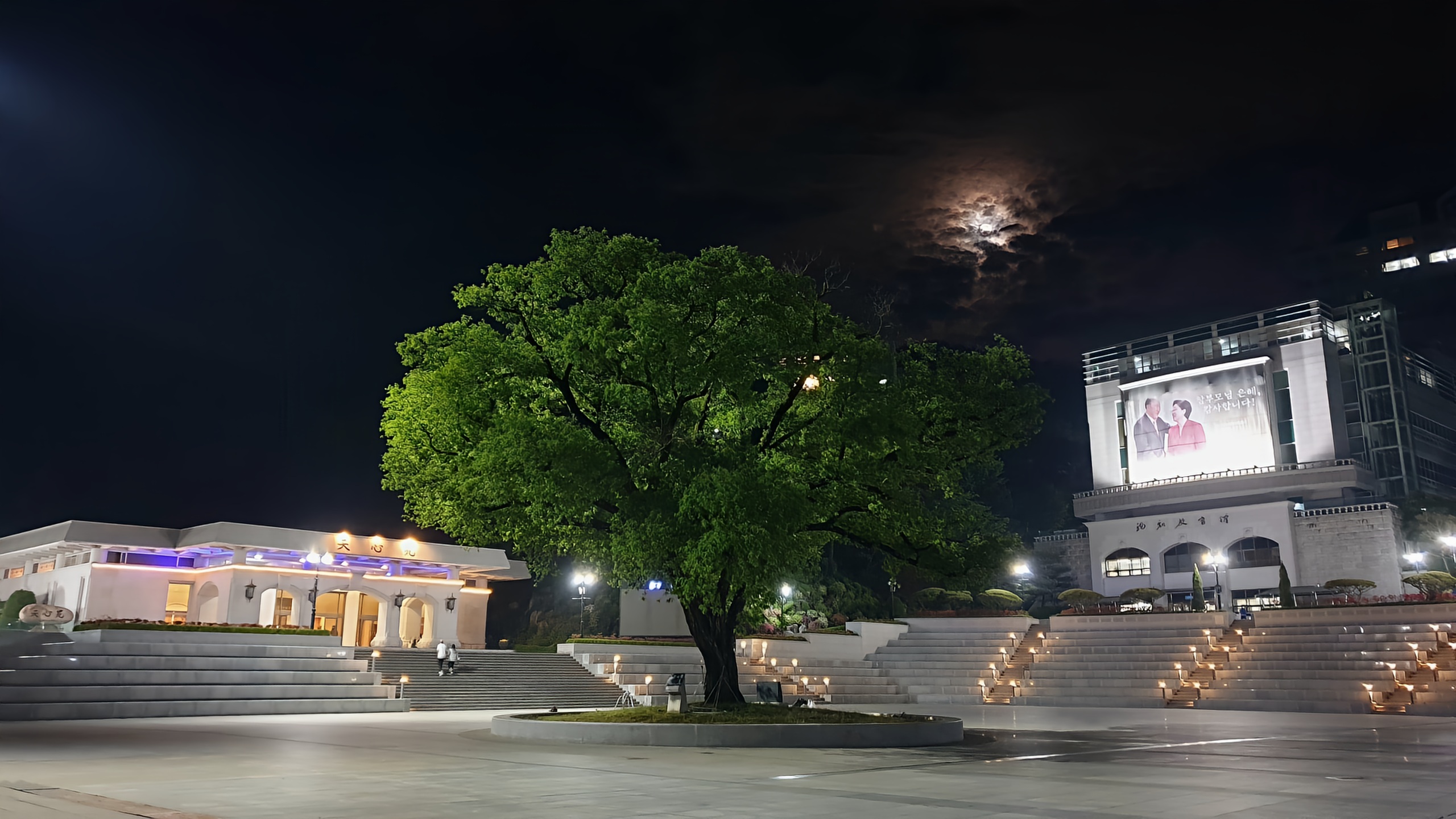 Streaming Service on TV