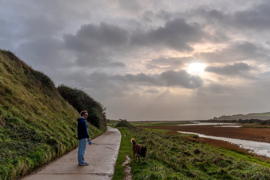 The Korean Secret to Staying Young? A Doctor’s Simple ‘Walk, Read, Empty’ Method