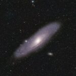 Wegovy’s Surprise Glow-Up: The Weight-Loss Shot Does *WHAT* For Your Heart?!