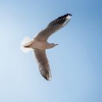 Why Young Koreans Are Ditching ‘YOLO’ for Serious Investing