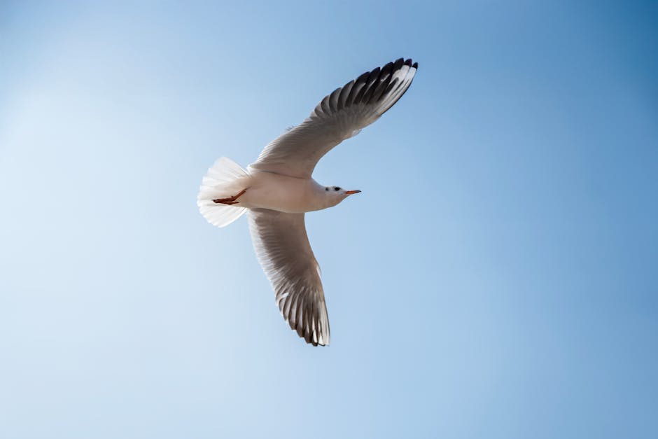 Why Young Koreans Are Ditching ‘YOLO’ for Serious Investing