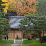 Whoa! A Real Estate Giant with Ties to Trump’s Inner Circle Just Landed in Seoul